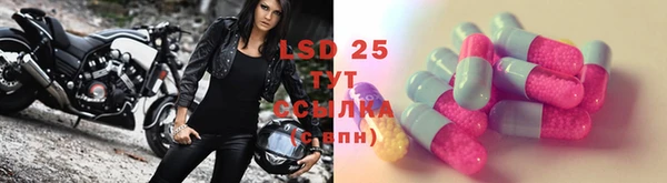 PSILOCYBIN Баксан