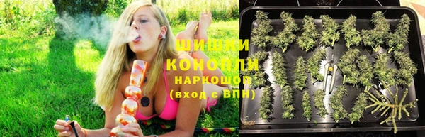PSILOCYBIN Баксан