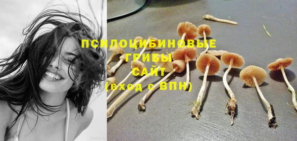 MDMA Белокуриха