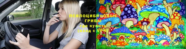 MDMA Белокуриха